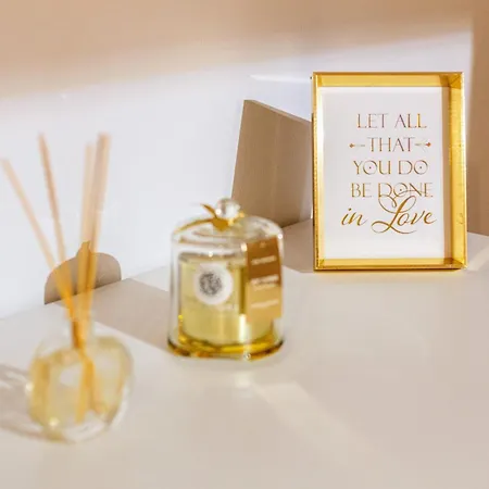 Fructus Plaza Ultracentral Timişoara