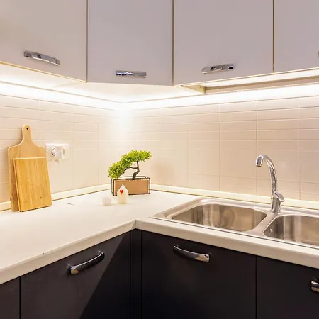 Fructus Plaza Ultracentral Apartament Timişoara