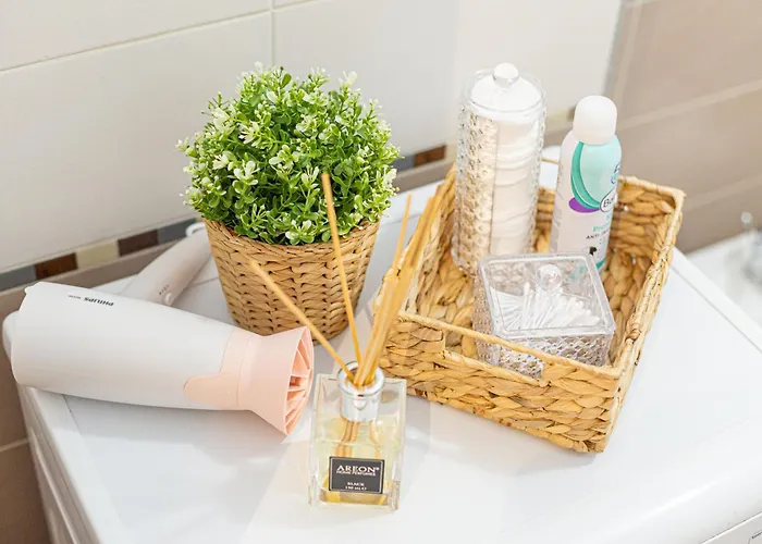 Apartment Fructus Plaza Ultracentral Timisoara