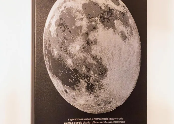 Fructus Plaza Ultracentral Lägenhet